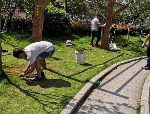 临沧绿化和市容管理局领导班子