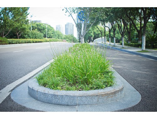 武汉城市绿化厂家排名前十