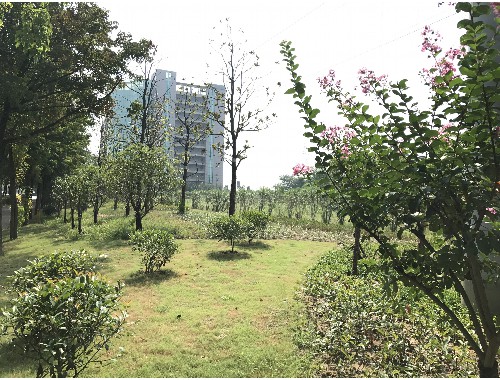 楚雄做市政绿化要哪些资质呢