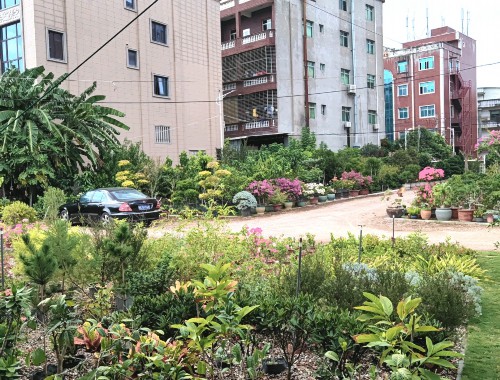 桐城城市绿化养护方案