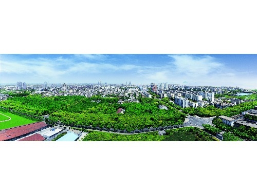 无锡景苑绿化工程有限公司