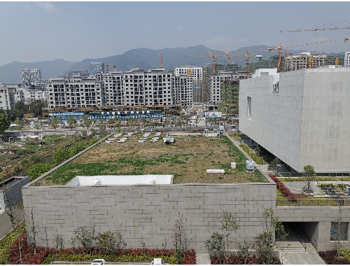 南阳绿化养护公司