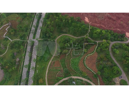 宝坻园建园林绿化工程有限公司