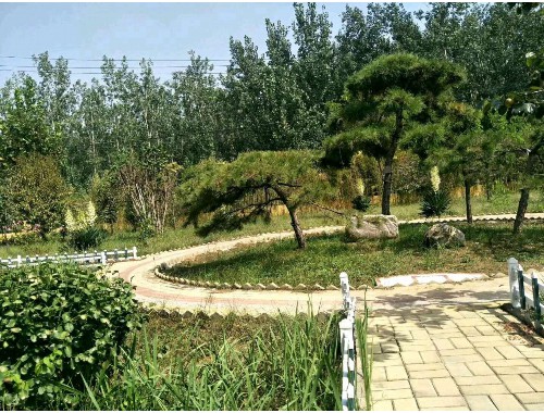 园林绿化工程研究背景