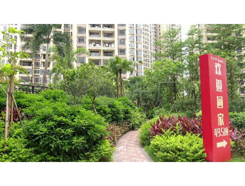 香港城市绿化比内地发达