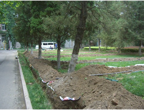 园林绿化工程师具体路径