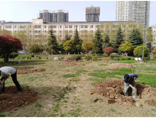 江山绿化和市容局副局长
