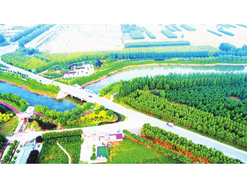 水唇村招绿化工程师信息