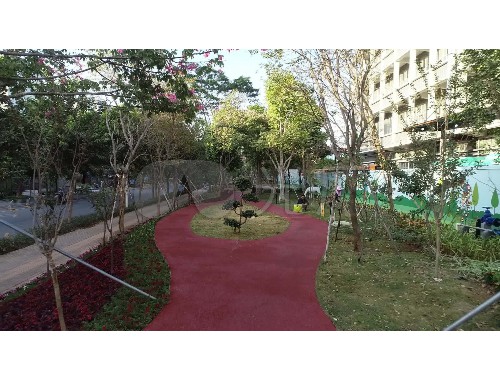 武夷山政绿化招标公告查询