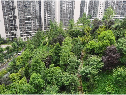 奉化绿化管理指导站
