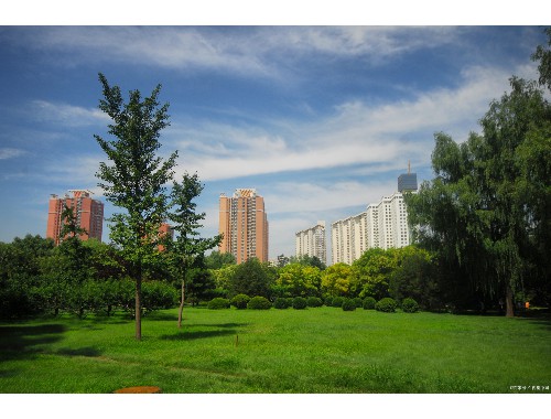 任丘城市绿化管养经费标准
