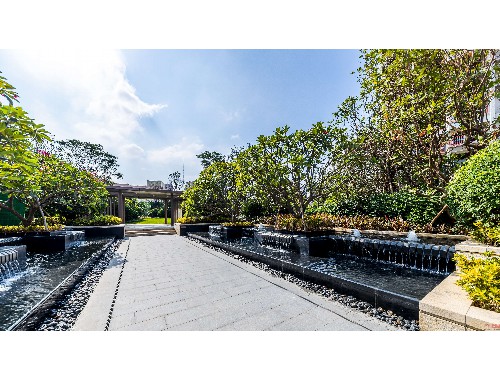 亳州城市绿化带种植什么植物比较好