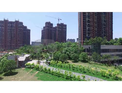 市政绿化工程施工过程记录