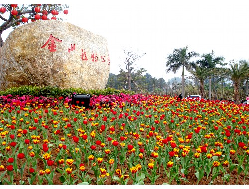 宜昌绿化工程