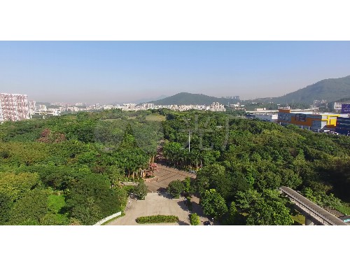 邢台绿化工程车邢台哪里买