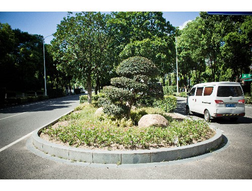 鸭池河岩湾公路绿化工程
