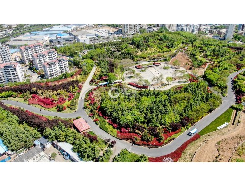 杨浦区建设项目绿化工程价格公示