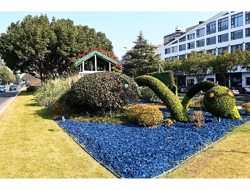 小学生城市绿化倡议书
