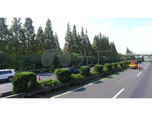 营口高速路口绿化工程