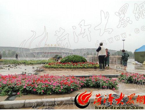 烟台丽景园林绿化工程