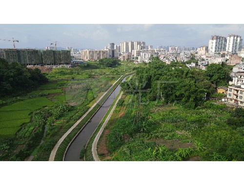 营山县帝怡湾绿化工程项目
